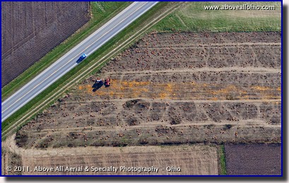 Aerial view of a pumpkin farm crushing leftover pumpkins in the field after halloween; near Wooster, OH